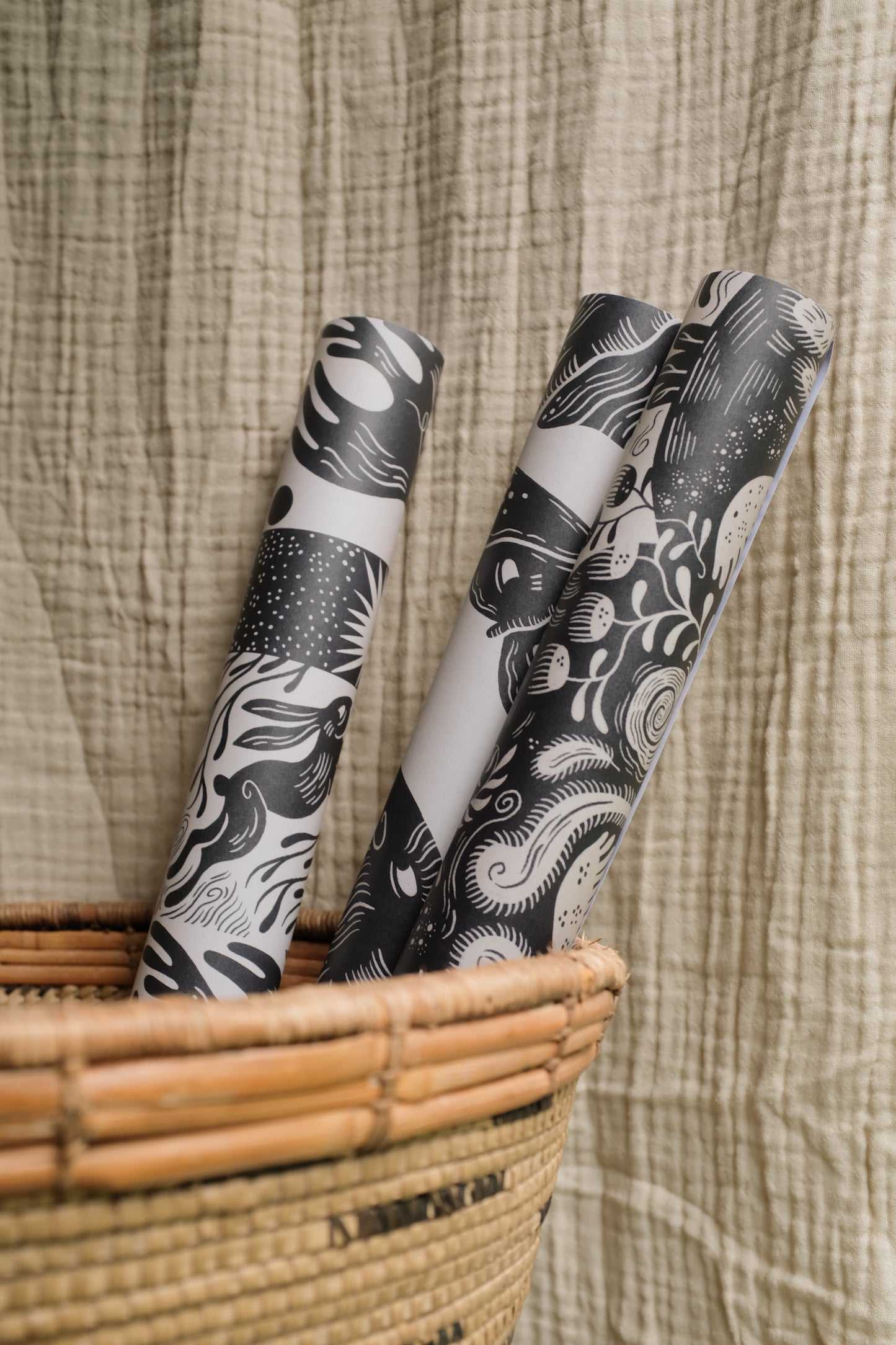 'Moth' Gift Wrap