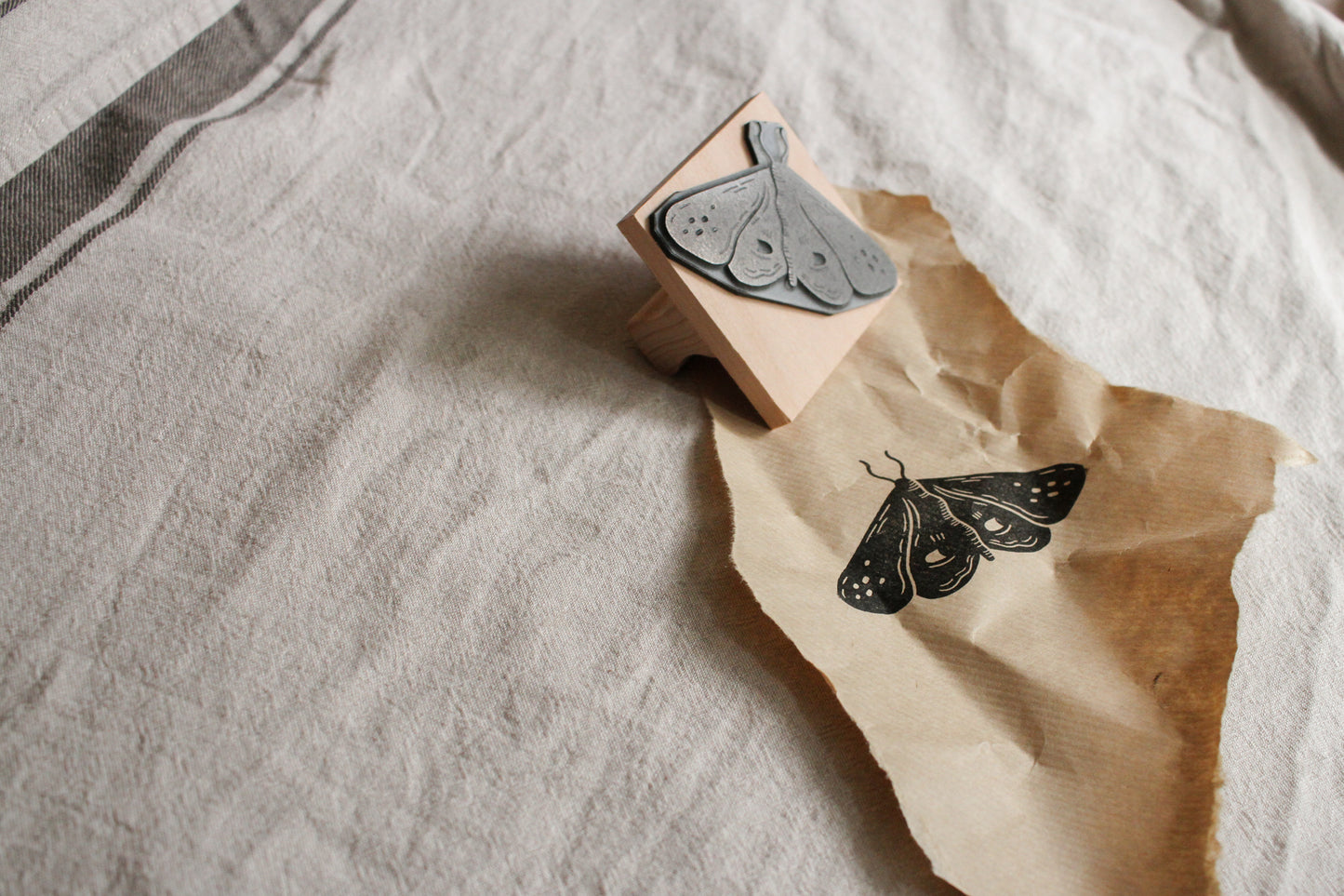 'Peeping Moth' Craft Stamp