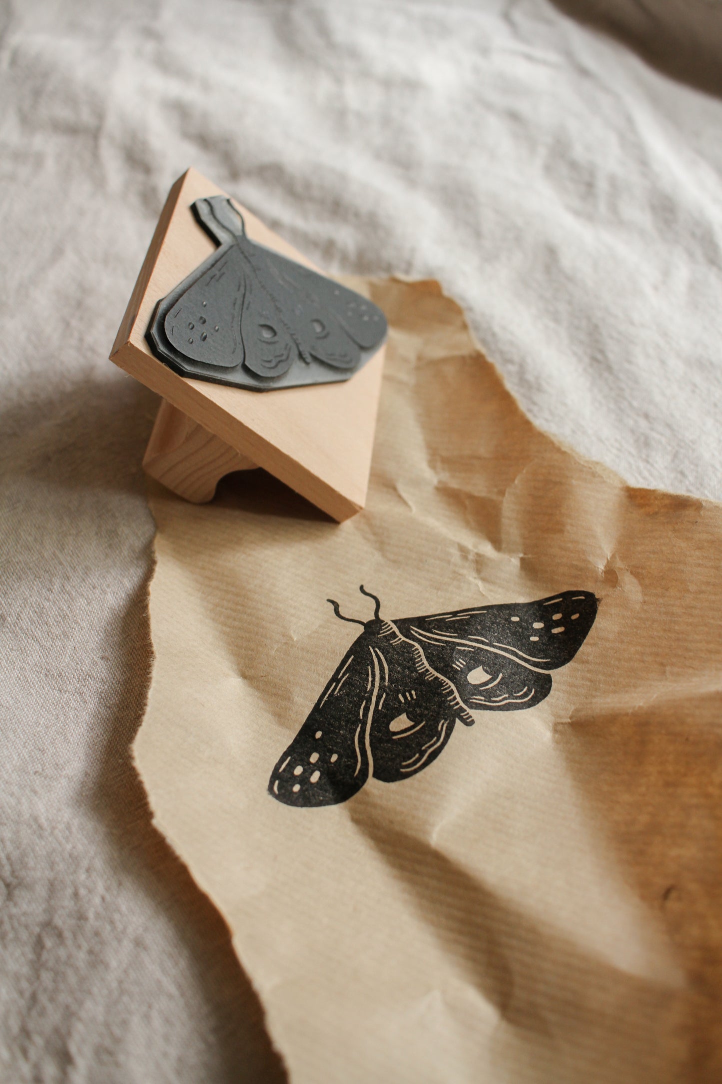 'Peeping Moth' Craft Stamp